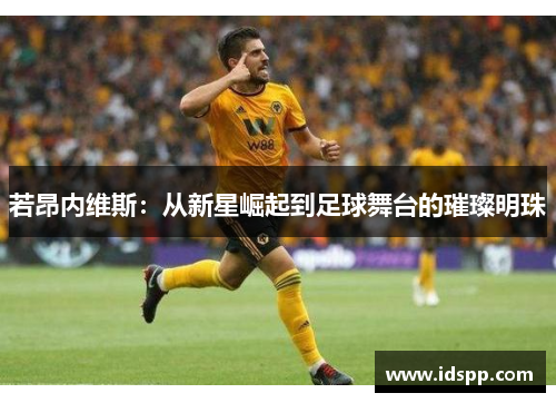 若昂内维斯：从新星崛起到足球舞台的璀璨明珠